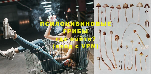 стафф Богданович